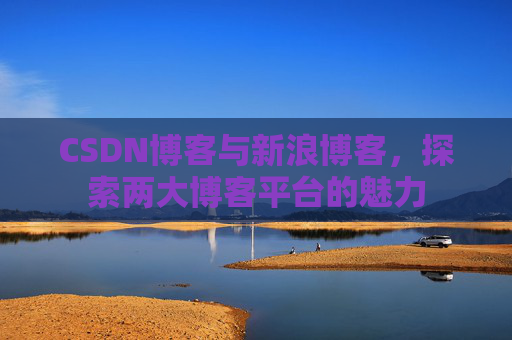 CSDN博客与新浪博客，探索两大博客平台的魅力